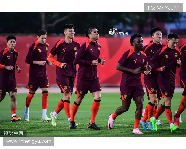 国家队新周期备战全面展开年轻力量成体育新闻焦点赛场内外引发关注